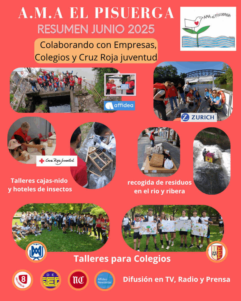 JUNIO