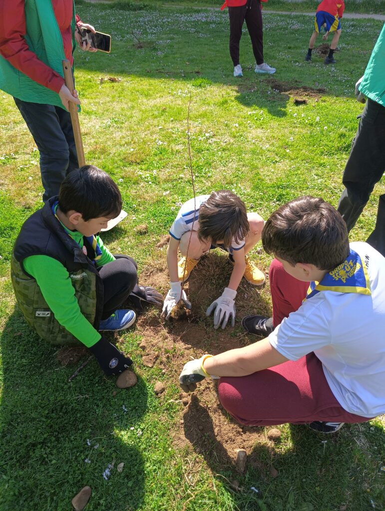 IMG20260321114403